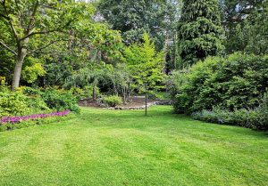 Optimiser l'expérience du jardin à Buire-Courcelles